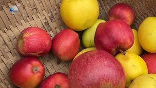 VIDEO „Ne simțim foarte bine”. Turiști din toată țara au venit la Sibiel pentru Târgul de mere