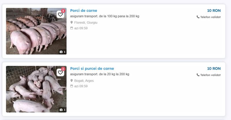 Preț porc de Crăciun 2025