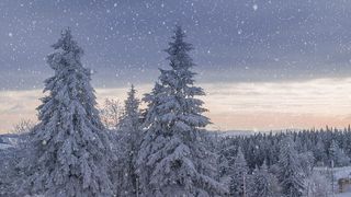 VIDEO Fenomenul La Niña revine! Cum va fi vremea în iarna 2025–2026? 