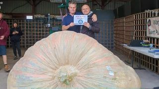 VIDEO Cel mai mare dovleac din lume. Recordul a fost stabilit în Anglia