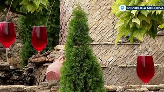 VIDEO Ce faci în weekend, cu Claudia Costandiș. Degustare de vinuri în cea mai veche cramă din Republica Moldova