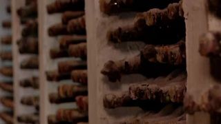 Cea mai veche cramă din Republica Moldova