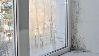 Ce poți face dacă ai igrasie și mucegai în casă: Trucuri simple care te ajută să rezolvi această problemă