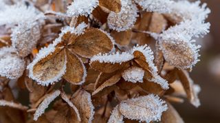 5 curiozități despre luna noiembrie: De ce se numește Brumar în tradiția populară