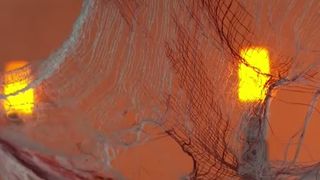 VIDEO Halloween de groază la Castelul Bran: petreceri, preparate &icirc;nspăim&acirc;ntătoare și experiențe unice