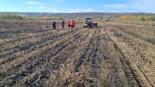 Descoperire cutremurătoare în Galați! Un cadavru carbonizat a fost găsit într-un lan de porumb