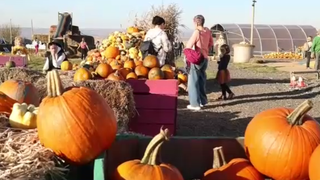 VIDEO Halloween-ul aduce magie și distracție &icirc;n orașele din Rom&acirc;nia