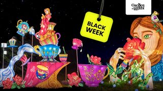 Garden of Lights s-a redeschis în Grădina Botanică din București! Cât costă un bilet de intrare în 2025