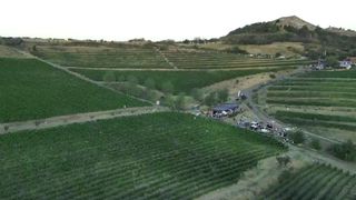 Distracție și vinuri de calitate la Dealu Mare