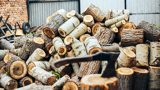 (P) &Icirc;n 2025, &icirc;ncălzirea cu lemne nu mai e ce-a fost: c&acirc;t te costă, de fapt, o iarnă &icirc;ntreagă cu o centrală pe lemne