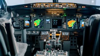 Un pilot a leșinat înainte de aterizare