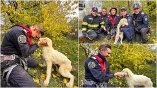 Gestul impresionant făcut de pompierii din Tulcea. Povestea lui „Snow”, cățelușa salvată dintr-un puț adânc: „Nu ar fi avut nicio șansă să iasă de acolo”
