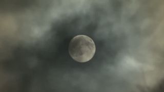 VIDEO Luna Castorului luminează pădurile Sibiului. Pasionații de natură pornesc &icirc;n căutarea ciupercilor de toamnă