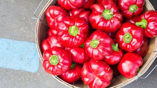 Gogoșari &icirc;n oțet, rețeta bunicii