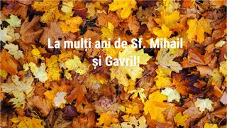 La mulți ani, Gabriel! La mulți ani, Gabriela! Mesaje și urări de Sf. Mihail și Gavril