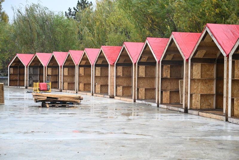 West Side Christmas Market 2025 - Târgul de Crăciun din Parcul Moghioroș