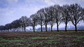 Cum va fi vremea în minivacanța de Sf. Andrei - 1 Decembrie 2025