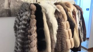 VIDEO Haina de blană, vedeta sezonului rece