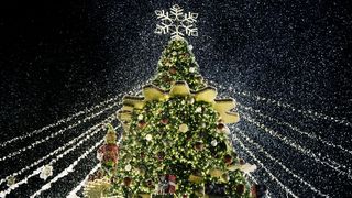 VIDEO Povestea bradului de Crăciun de la Rockefeller Center: o tradiție încărcată de emoție și istorie familială