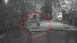 tanara omorata, crima Teleorman, tragedie 