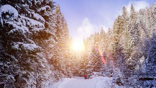 Vremea în luna decembrie 2025: Când şi unde va ninge?