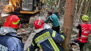 Cine este bărbatul strivit de un copac la Voineasa. Avea doar 44 de ani