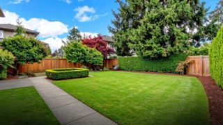 (P) Cum transformi curtea &icirc;ntr-un spațiu funcțional și modern&nbsp;