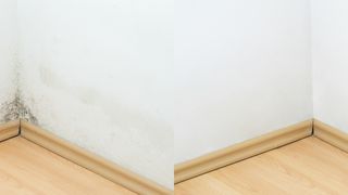 Umezeala din casă poate duce la apariția mucegaiului