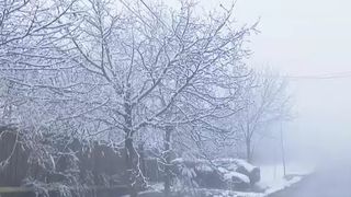 VIDEO Frigul nu durează mult &icirc;n Rom&acirc;nia. De c&acirc;nd revin temperaturile de primăvară