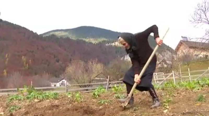 Eugenia Cotinghiu făcând treburi prin curte