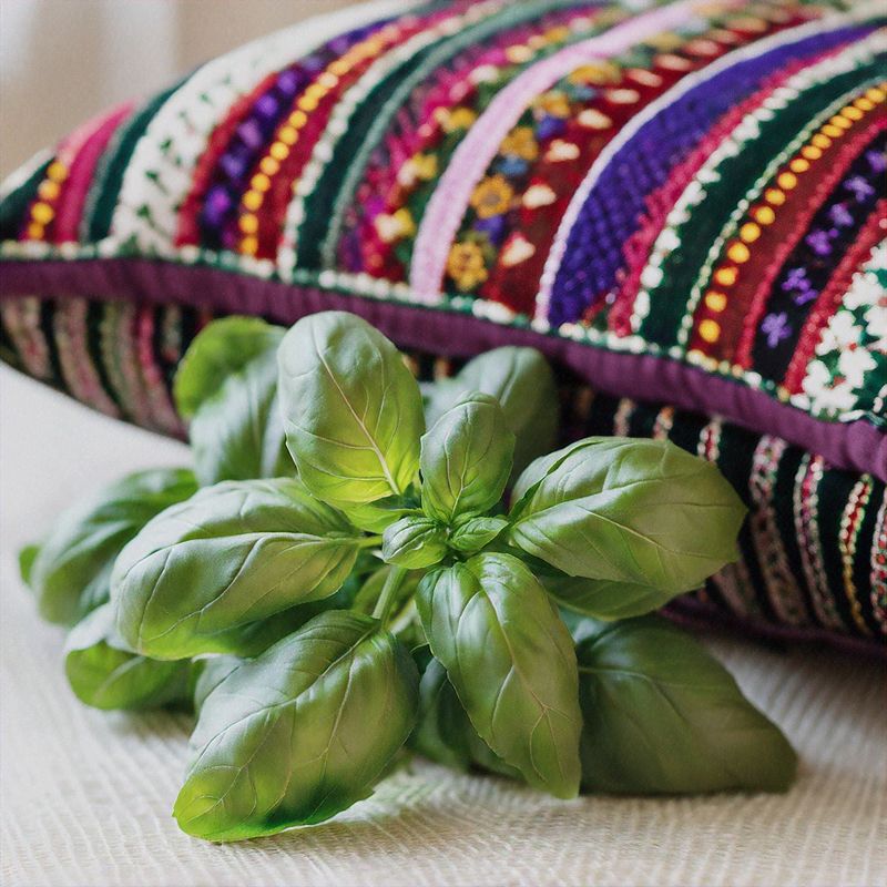 Tradiţii de Sf. Andrei 2025