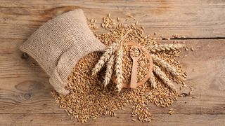 Tradiţii de Sf. Andrei 2025: Ce trebuie să faci pentru a-ţi visa ursitul?