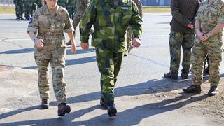 Șeful armatei suedeze, generalul Michael Claesson