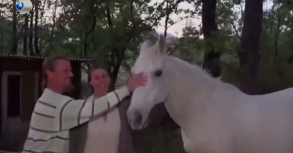 VIDEO Viața în sălbăticie, pericol pentru copii. O familie din Italia ...