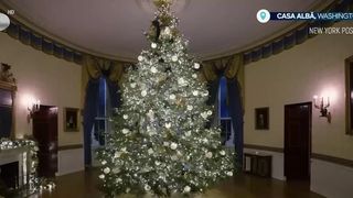 VIDEO Casa Albă , împodobită de Crăciun