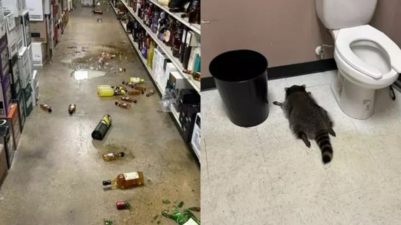 Un raton a spart sticle de alcool într-un magazin și a fost găsit sforăind în baie