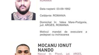 Dani Mocanu și fratele său au fost condamnați în România la închisoare cu executare