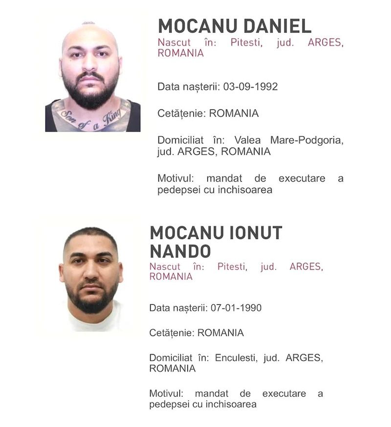 Dani Mocanu și fratele său au fost condamnați în România la închisoare cu executare