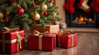 Preț brad de Crăciun 2025