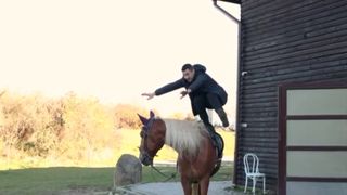 Unul dintre caii de la complexul turistic