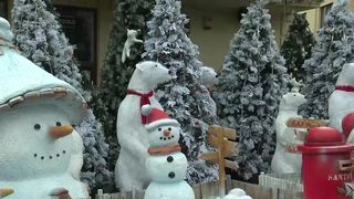 VIDEO „Cu siguranță o să revin”. Târgul de Crăciun din Craiova, plin de turiști străini