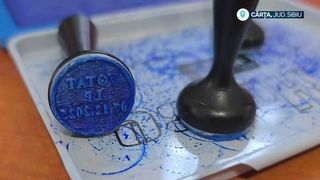 VIDEO „Nimeni nu face nimic”. Alegeri locale în 11 județe din România