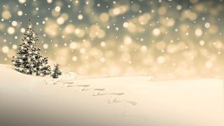 Vom avea sau nu zăpadă de Crăciun? 