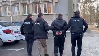 Tânăr reținut după ce a intrat în curtea unui vecin și i-a ucis câinele. Individul a lovit de mai multe ori patrupedul în cap