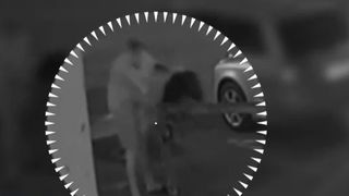 VIDEO Violență extremă împotriva unei cățelușe. A fost bătută cu cruzime de stăpânul său