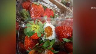 VIDEO ANPC descoperă nereguli grave în magazinele din București. Mâncăm carne expirată și legume stricate