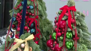 VIDEO &bdquo;Sunt construiți manual&rdquo;. Brazii gata &icirc;mpodibiți, tot mai căutați