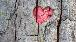 Horoscopul dragostei pentru ianuarie 2026: Ascultă-ți inima și acționează cu mai mult curaj