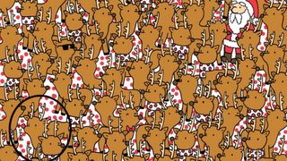 Găsește-l pe Rudolf! - răspuns corect puzzle de Crăciun