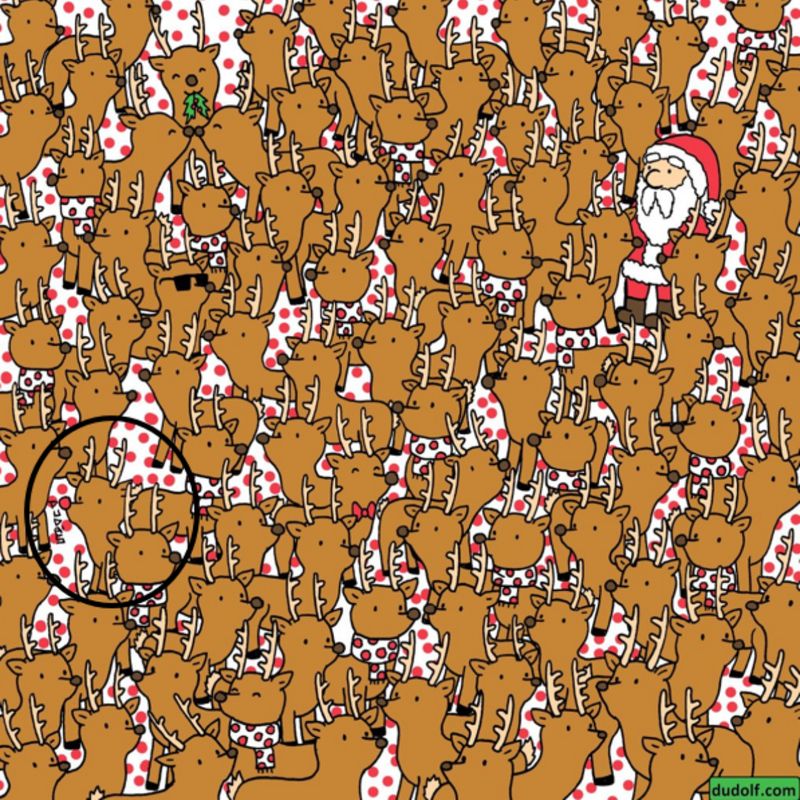 Găsește-l pe Rudolf! - răspuns corect puzzle de Crăciun